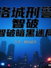 洛城刑警智破暗黑迷局