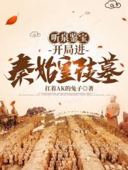 听泉鉴宝：开局进秦始皇陵墓