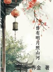 曾有明月照河山