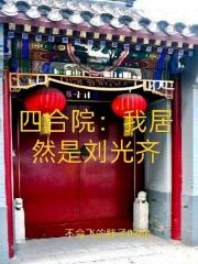四合院：我居然是刘光齐