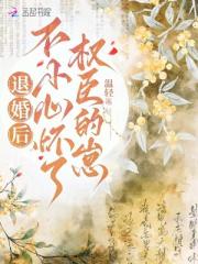 退婚后，不小心怀了权臣的崽