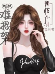 朝桉不驯，祁总难招架