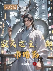 寂灭龙主：都市暗影