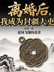 离婚后，我成为封疆大吏！