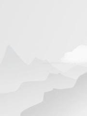 谁还不是个花花公子