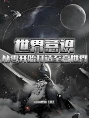 世界意识：从零开始打造至高世界