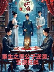 重生之贵公子逆袭：雪夜狂飙