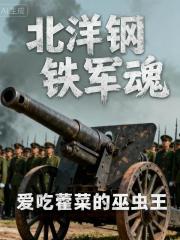 北洋钢铁军魂