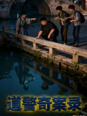 道警奇案录