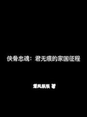 侠骨忠魂：君无痕的家国征程