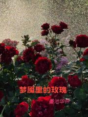 梦魇里的玫瑰