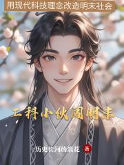工科小伙闯明末