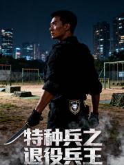 特种兵之退役兵王