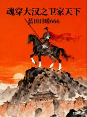 魂穿大汉之卫家天下