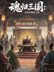 魂归三国：孙绍的崛起之路