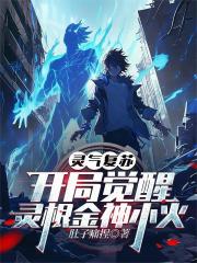 灵气复苏，开局觉醒灵根金神小火