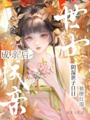 成亲后，阴湿世子日日被撩红温