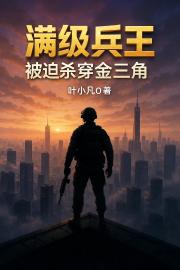满级兵王，被迫杀穿金三角