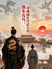 我朱允凡：双魂辅佐洪武大帝