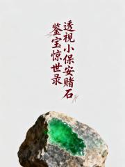 透视小保安赌石鉴宝惊世录