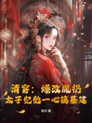 清穿爆改胤礽，太子妃一心搞基建