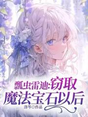 瓢虫雷迪：窃取魔法宝石以后