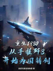 重生1980，从手搓歼8开始为国铸剑