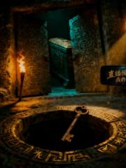 我在古墓开直播，弹幕预告我死亡