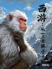 西游从一只老猴子开始