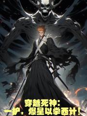 穿越死神：一护，爆星以拳西计