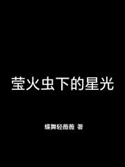 莹火虫下的星光