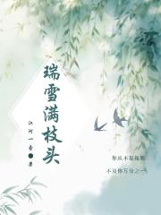 瑞雪满枝头