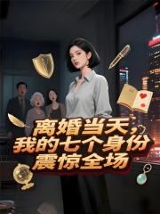 离婚当天，我的七个身份震惊全场
