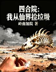 四合院：我从仙界捡垃圾