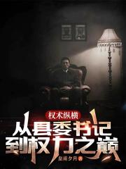 权术纵横：从县委书记到权力之巅