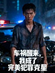 车祸醒来，我成了完美犯罪克星