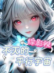 综影视：不灭的平行宇宙