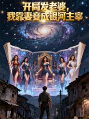 开局发老婆，我靠妻妾成银河主宰