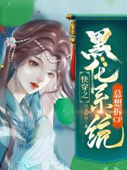 快穿之黑化系统总想拆CP