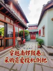 穿越南锣鼓巷:采购员爱投机倒把 穿越南锣鼓巷:采购员爱投机倒把