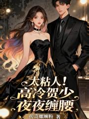 太粘人！高冷贺少夜夜缠腰