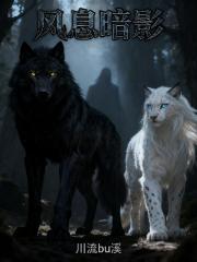 风息暗影