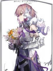 自机角色：星穹列车上的圣骑士