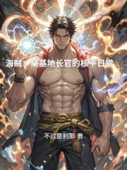 海贼：某基地长官的核平日常