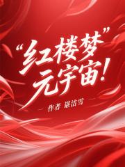 红楼梦元宇宙