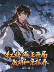 红楼：燕王开局，截胡和亲探春