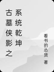 古墓侠影之系统乾坤