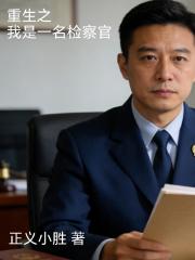 重生之我是一名检察官