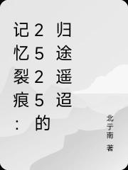 记忆裂痕：2525的归途遥迢