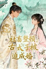 社畜整顿古代：太子被迫成婚